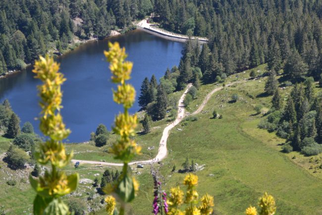 découvrez comment les aléas climatiques influencent les tarifs d'assurance dans les vosges. analyse des risques, tendances actuelles et conseils pour mieux vous protéger face aux changements environnementaux.