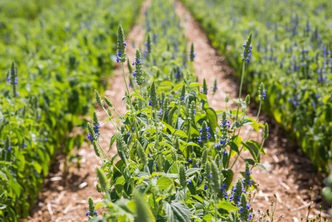 découvrez les pièges courants à éviter lors du choix de votre assurance pour faire un choix éclairé et adapté à vos besoins.